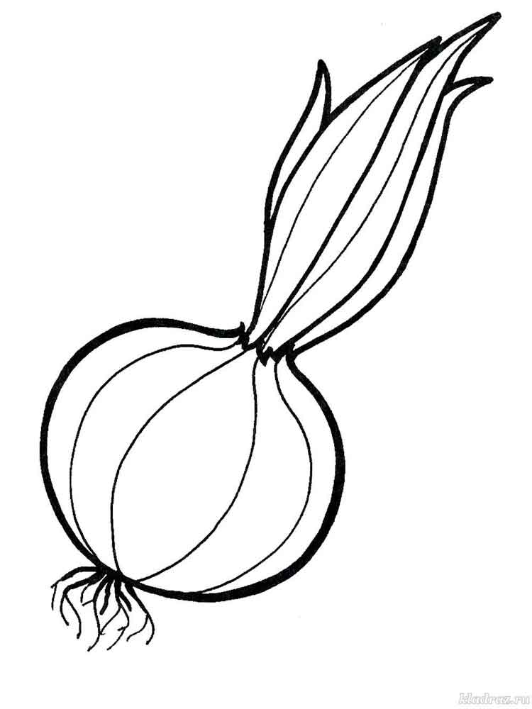 750x1000 Vegetables Onion Coloring Page 8