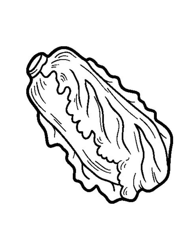 750x1000 Lettuce Coloring Pages. Download And Print Lettuce Coloring Pages