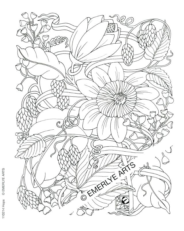 640x800 Coloring Pages Adults Free Usedauto.club