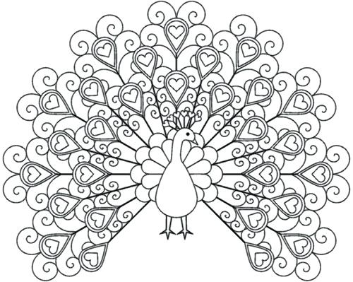 500x399 Printable Coloring Pages For Adults Only