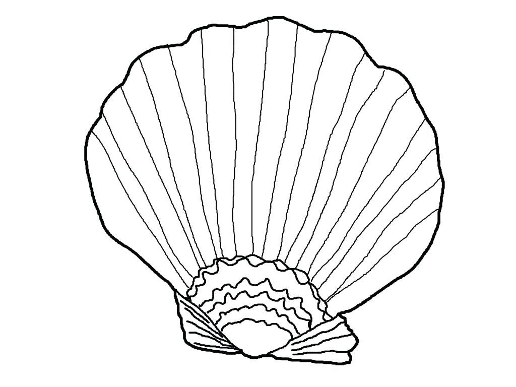 1024x768 Open Book Coloring Page