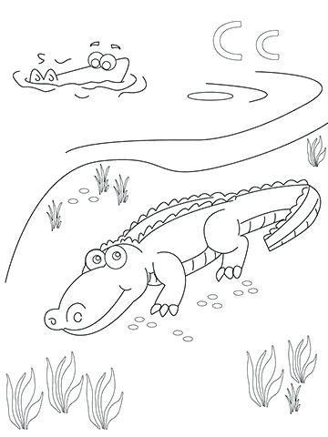 360x480 Book Coloring Pages Open Book Open Book Coloring Page Coloring