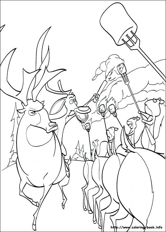 567x794 Season Coloring Pages More Images Of Open Season Coloring Pages