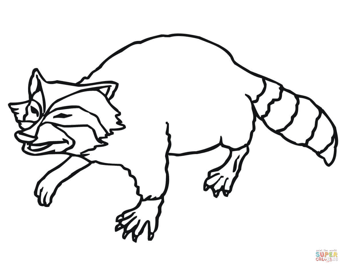 1200x936 Revealing Opossum Coloring Pages Possum Page 7