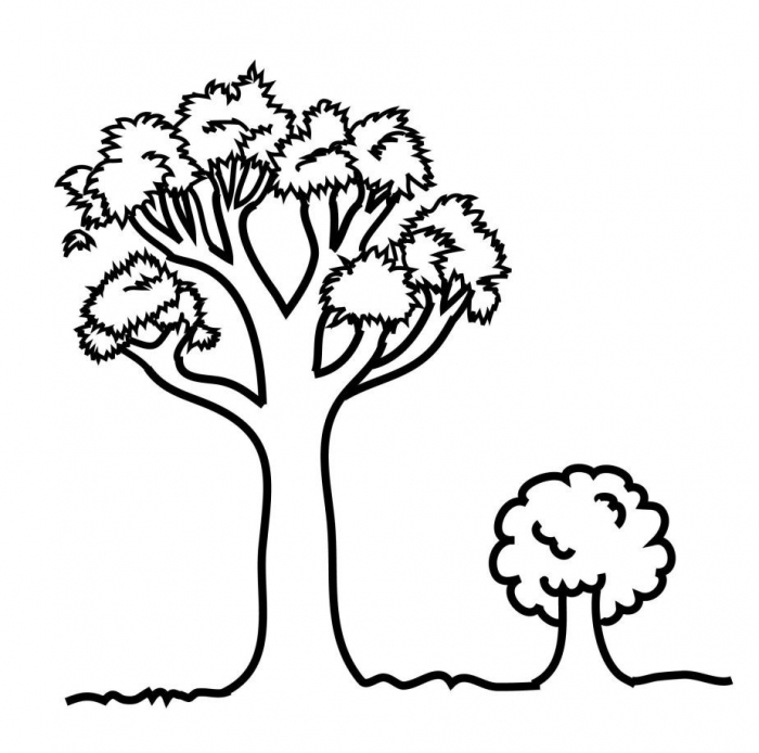 700x694 Big And Small Coloring Pages Coloring Page