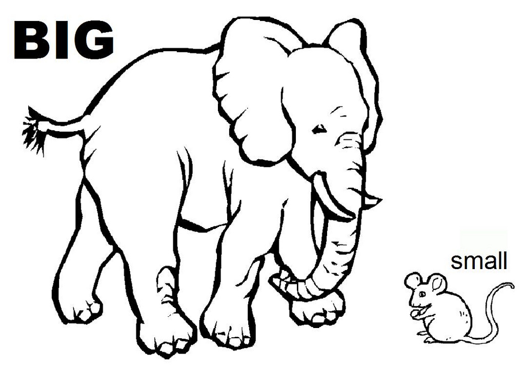 1024x718 Big And Small Coloring Pages Opposites Coloring Sheet We Handed