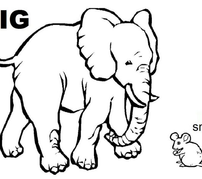 678x600 Big And Small Coloring Pages Opposites Colouring Pages For Pre