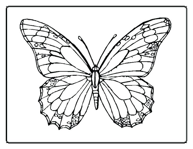 800x618 Cool Optical Illusion Coloring Pages Illusions Shared By