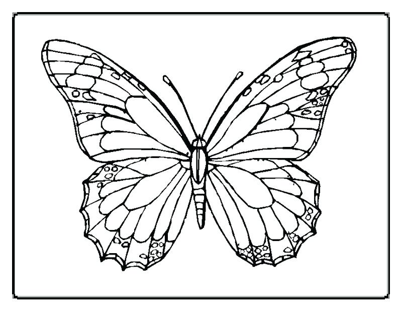 800x618 Optical Illusions Printable