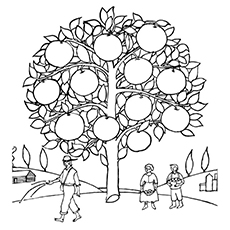 Orange Coloring Page