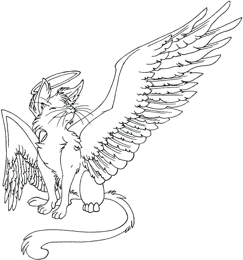 800x858 Orange Coloring Page