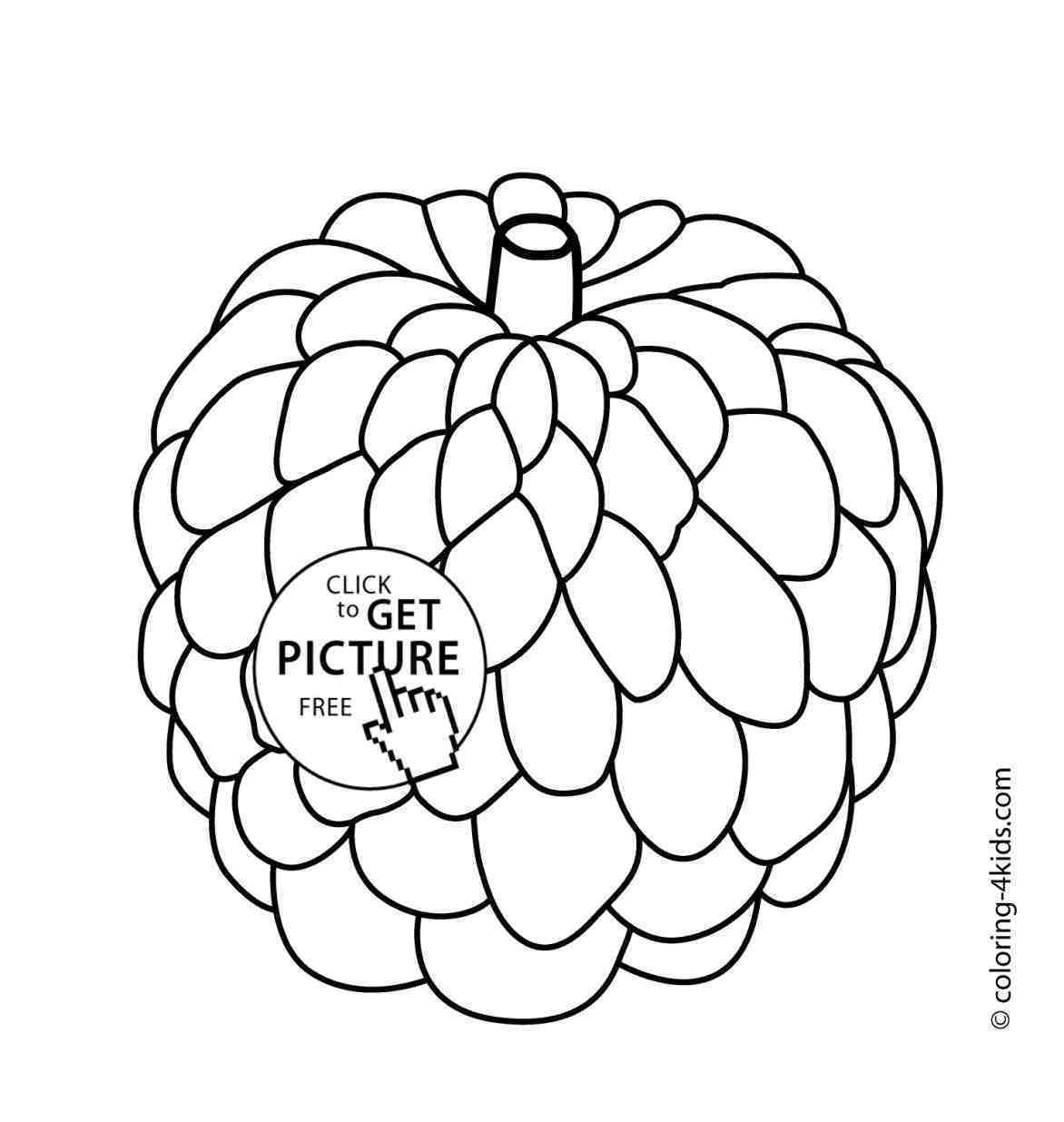 1172x1236 Incredible Cute Fruit Coloring Gallery Printable Sheet Picture