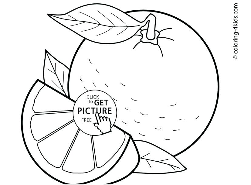 827x609 Orange Coloring Page Coloring Pages Color Orange Photographs Top