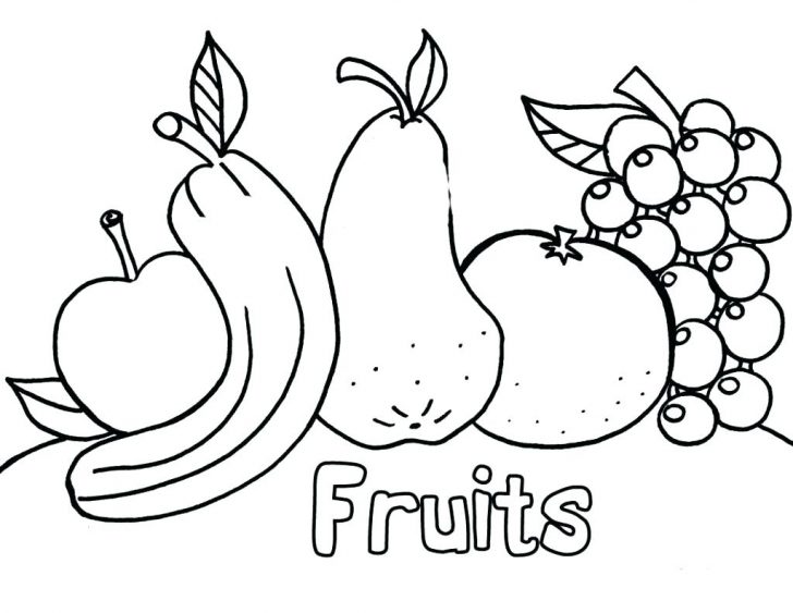 728x563 Orange Coloring Page Fruit Pages Free Marvelous For Toddlers