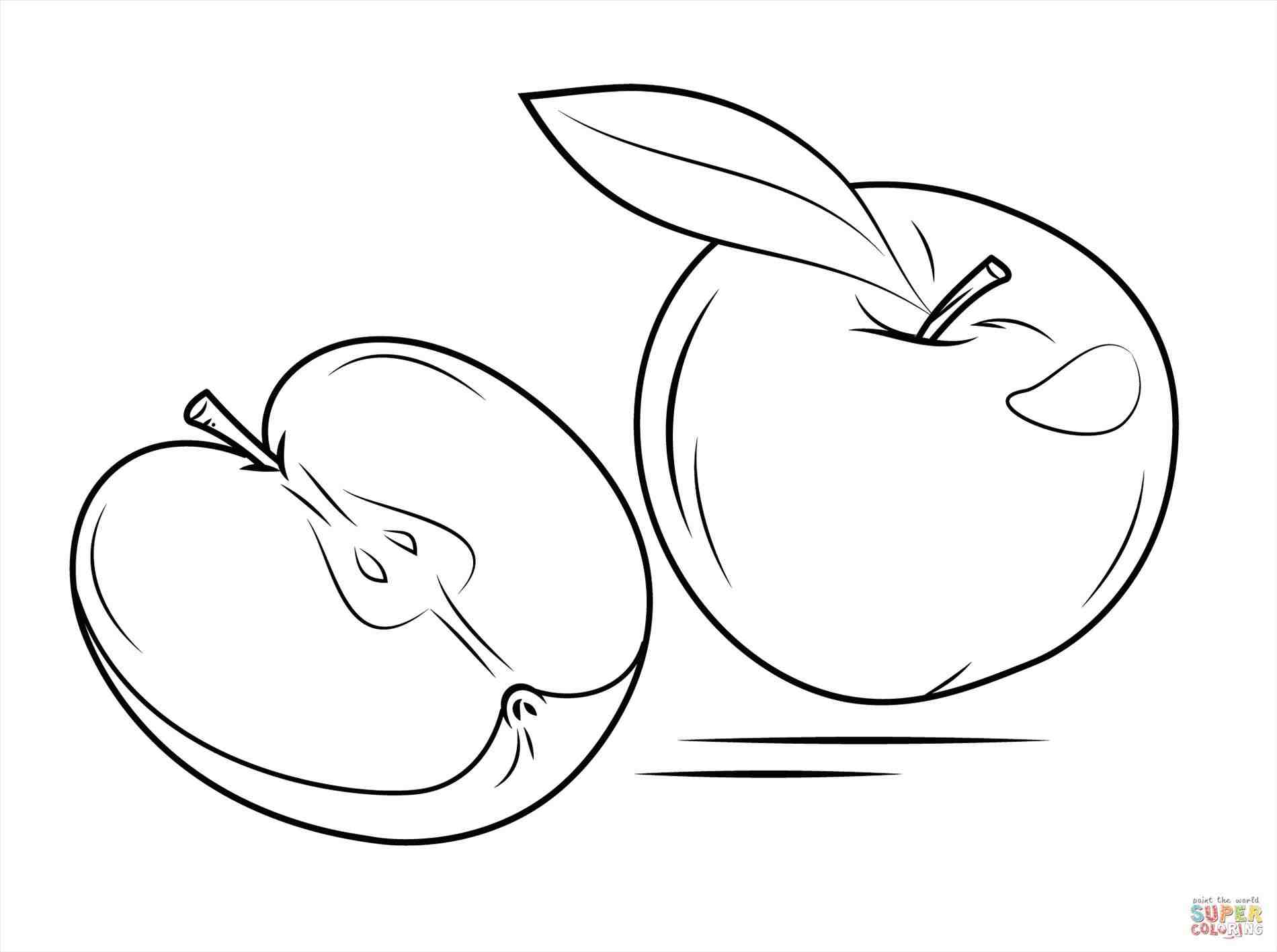 1900x1417 Orange Juice Coloring Pages Web Coloring Pages