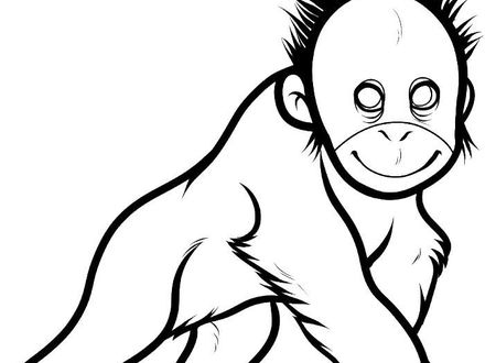 Orangutan Coloring Page