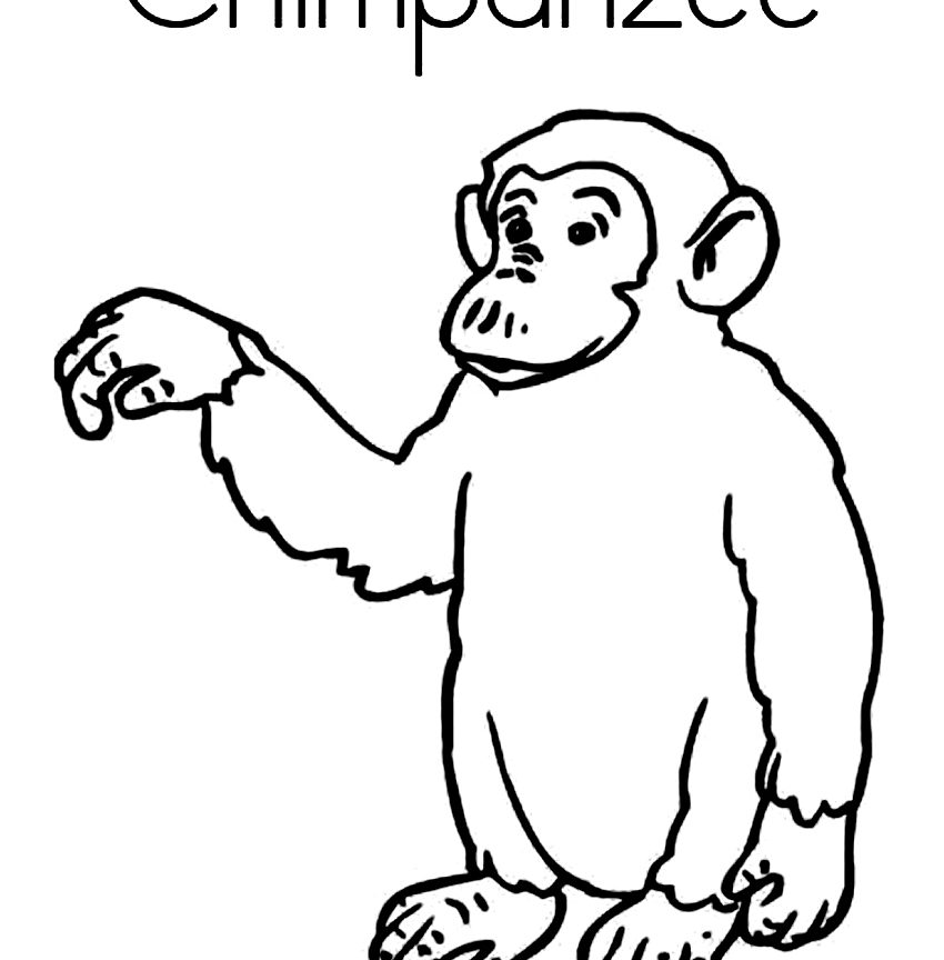 850x864 Free Orangutan Cartoon Printable Coloring Pages Page And Friends