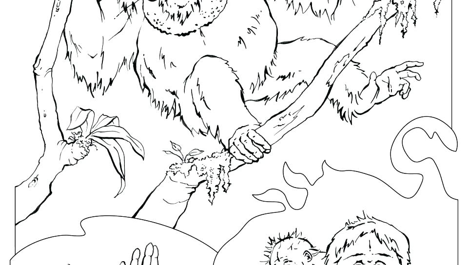 960x544 Orangutan Coloring Page Orangutan Coloring Page Baby Orangutan