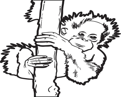 400x322 Baby Orangutan Coloring Page