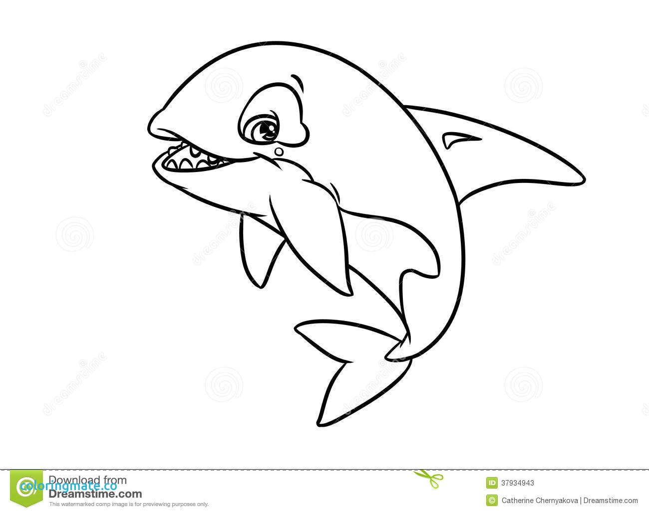 1300x1031 Orca Coloring Pages