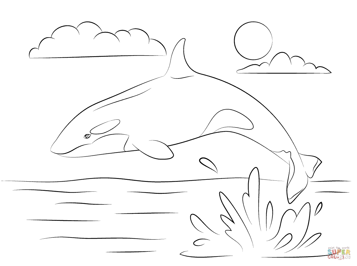 1200x895 Best Of Orca Coloring Pages Free Coloring Pages Download