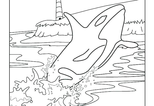 618x425 Orca Coloring Pages Coloring Page Here Are Coloring Pages Pictures