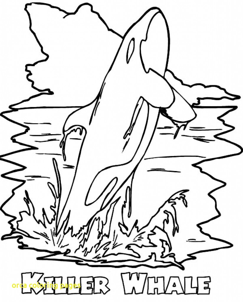 824x1024 Orca Coloring Pages With Orca Whale Coloring Page