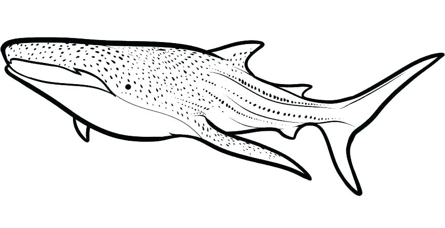 878x450 Killer Whale Coloring Page Elegant Shark Coloring Pages Printable