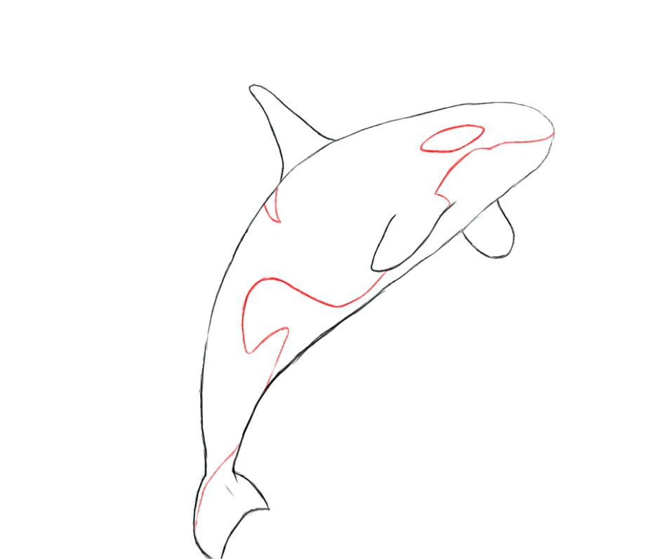 940x796 Killer Whale Coloring Page Whale Coloring Page Killer Whale
