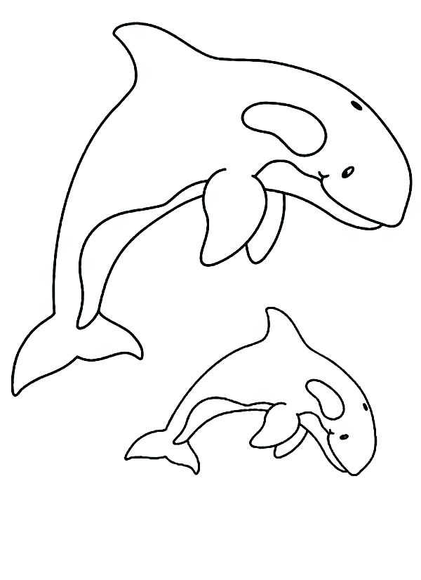 600x826 Orca Whale Coloring Pages Whale Awesome Killer Whale Coloring Page