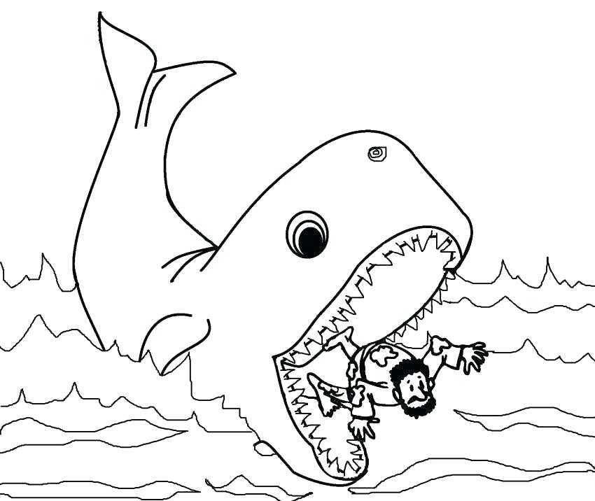 850x716 Coloring Pages Of Whales Coloring Pages Of Whales Blue Whale