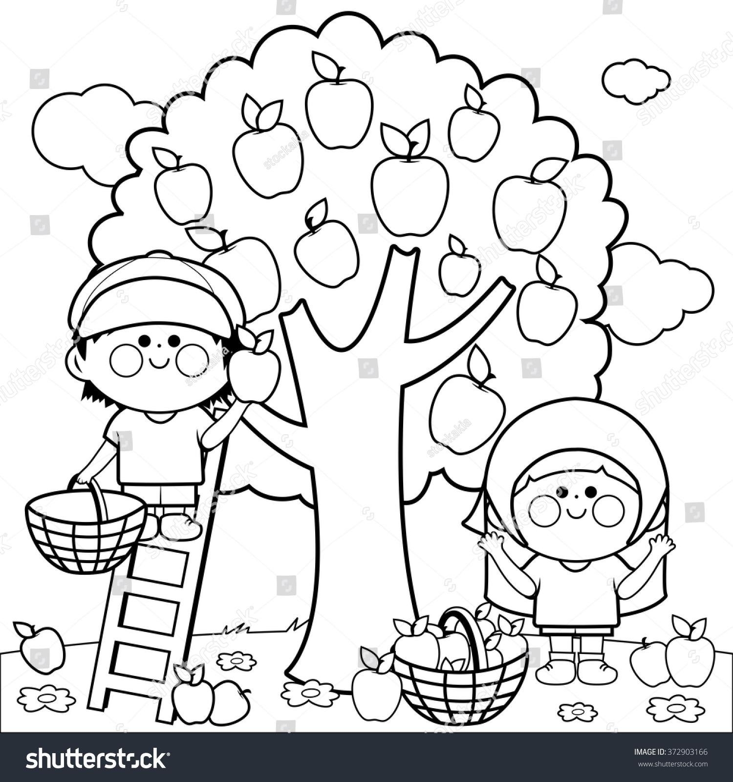 1500x1600 Apple Picking Coloring Pages Free Design Templates