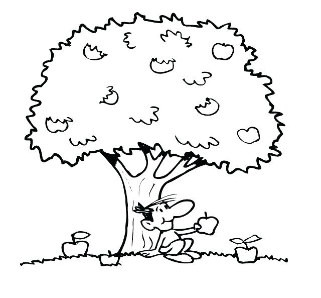 640x593 Apple Orchard Colouring Pages Picking Kids Coloring Free Printable