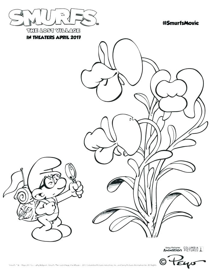 700x906 Orchid Coloring Pages Shippa.co