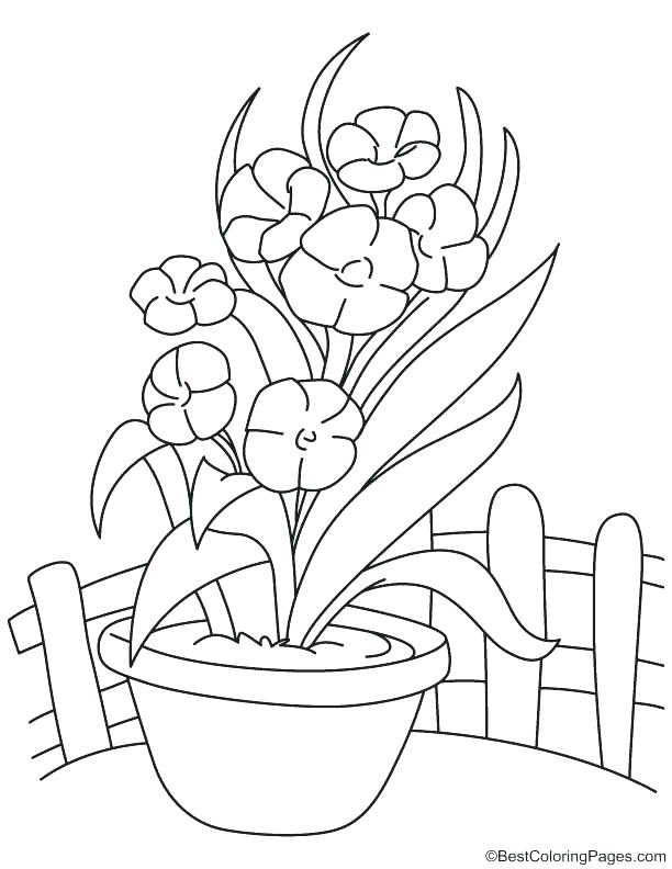 612x792 Flower Vase Coloring Page Orchid Coloring Pages Long Orchid Flower