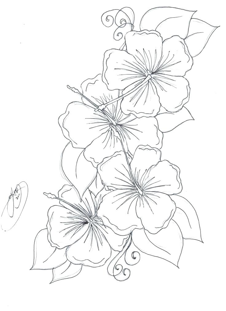 736x1013 Flowers To Color Artificial Orchid Spray In White Tall Printable