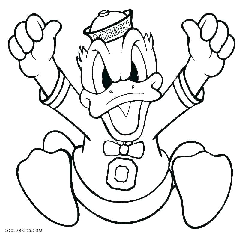 800x791 Coloring Book Pages Ducks