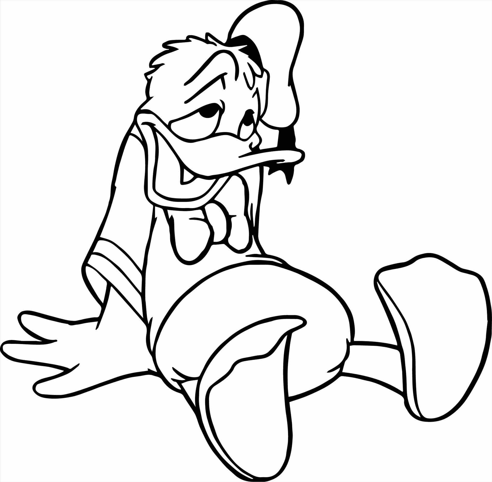 1899x1860 Oregon Duck Coloring Sheets