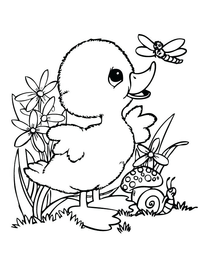 670x867 Quality Duck Pictures To Color Oregon Ducks Coloring Pages S