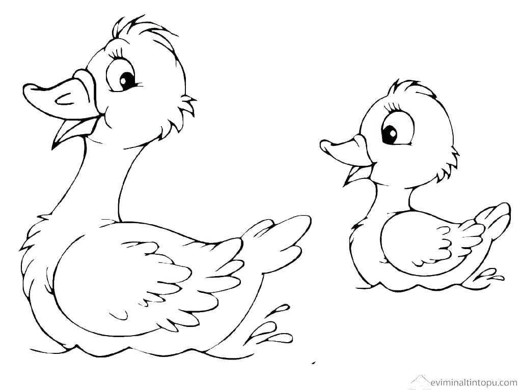 1023x767 Coloring Pages Ducks Coloring Page Duck Ducks Coloring Pages Ducks