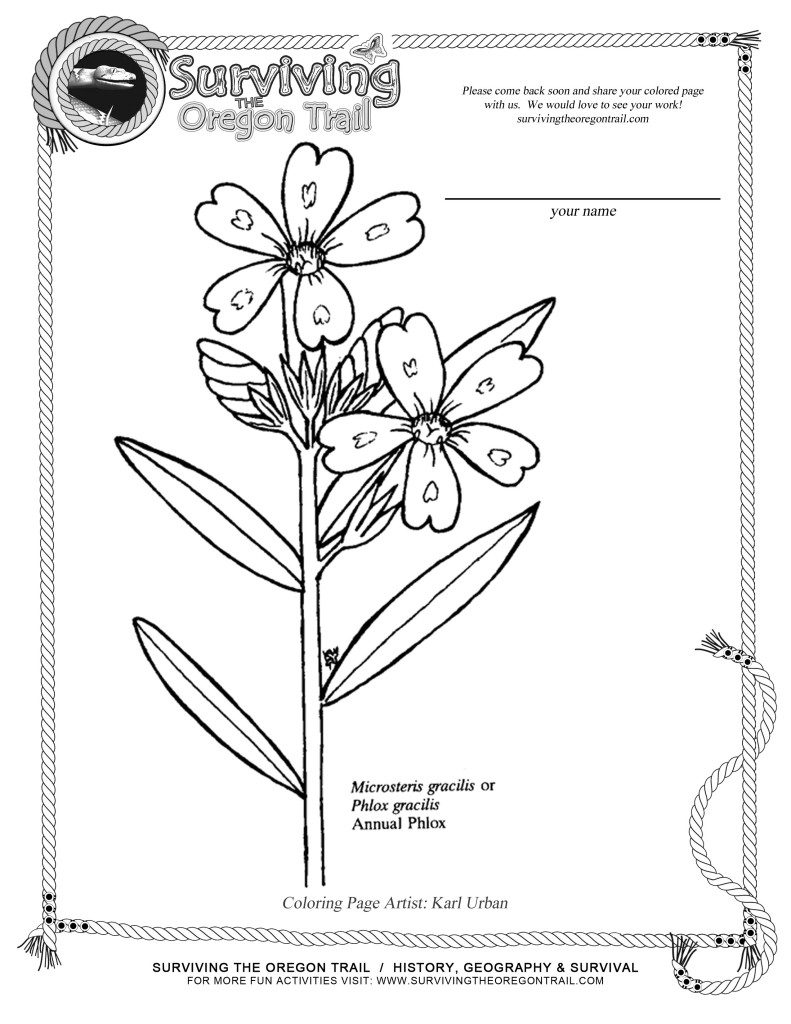 791x1024 Coloring Pages By Type Archives