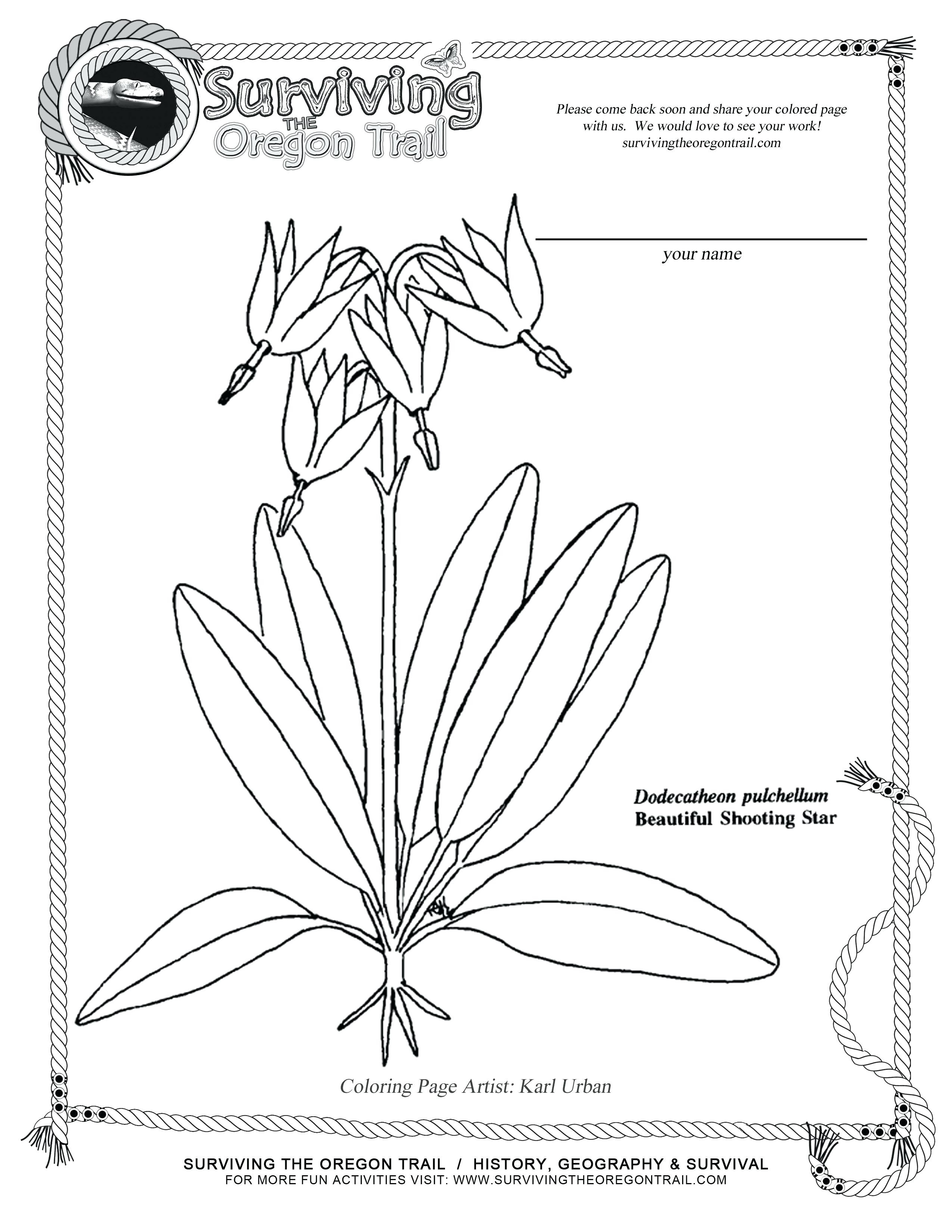 2550x3300 Botany Coloring Pages Free Draw To Color