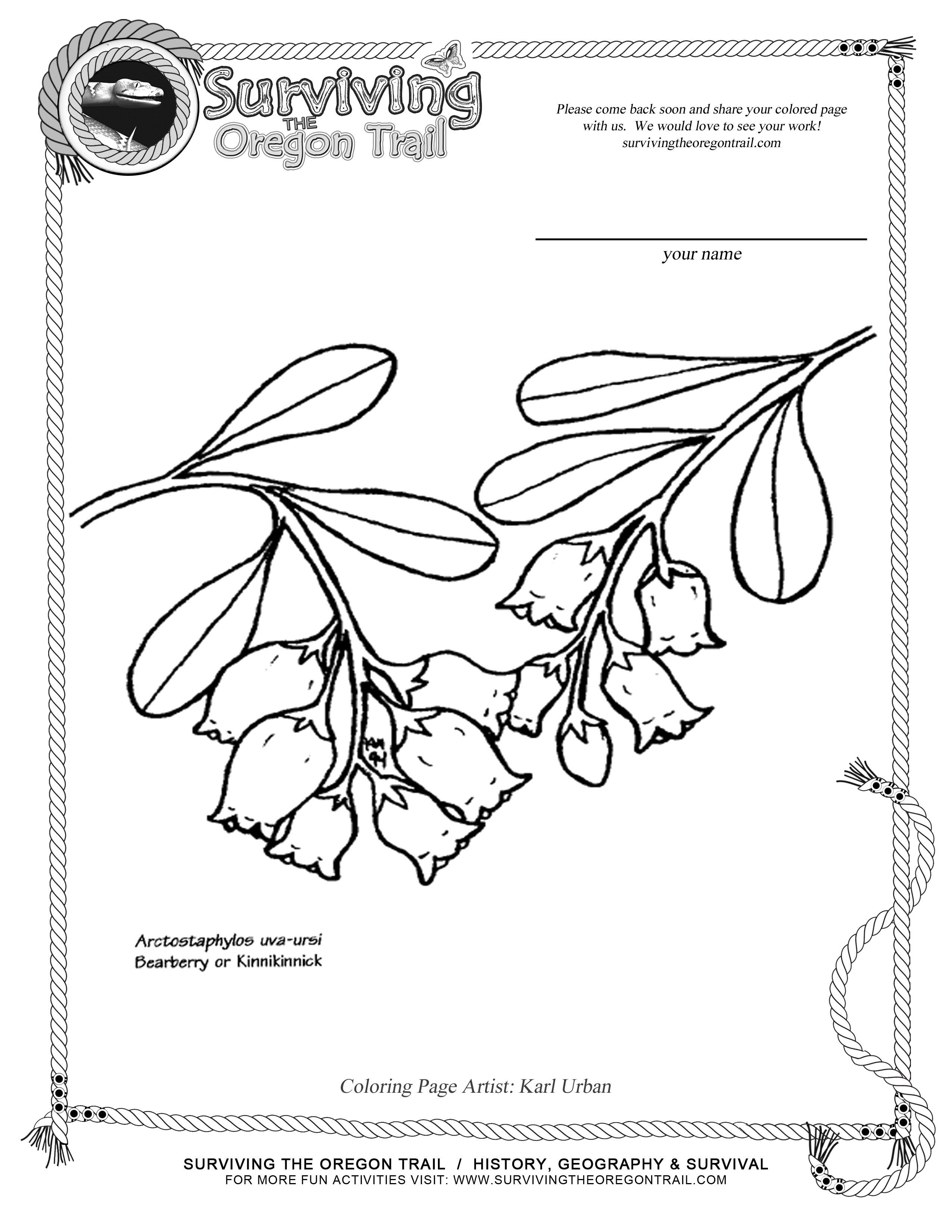 2550x3300 Botany Coloring Pages Elegant Coloring Pages Archives Surviving