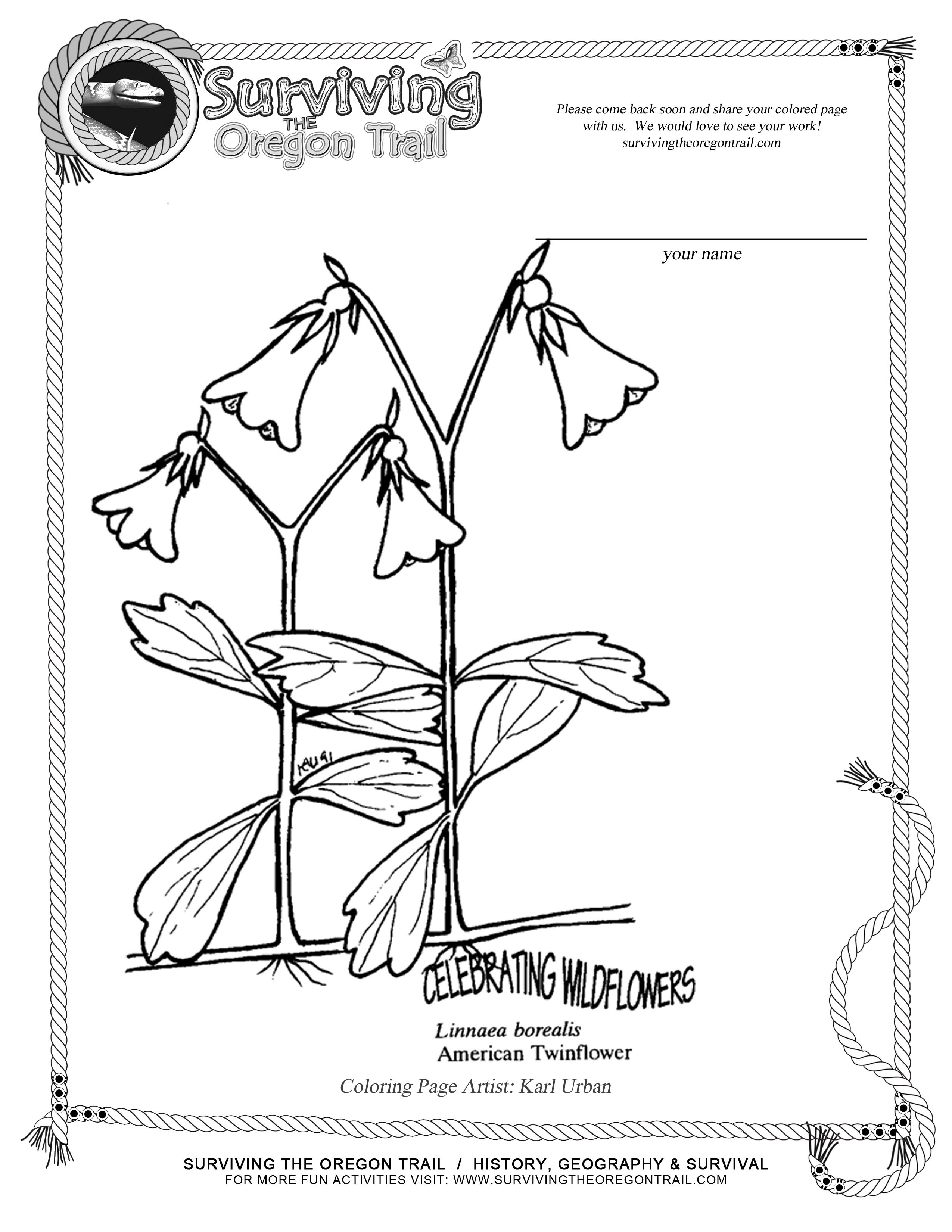 2550x3300 Botany Coloring Pages Luxury Coloring Pages Archives Surviving