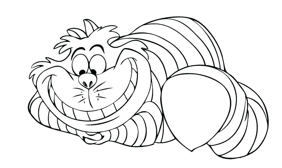 900x538 Cartoon Cat Coloring Pages Cat Coloring Page Fossil Coloring Pages