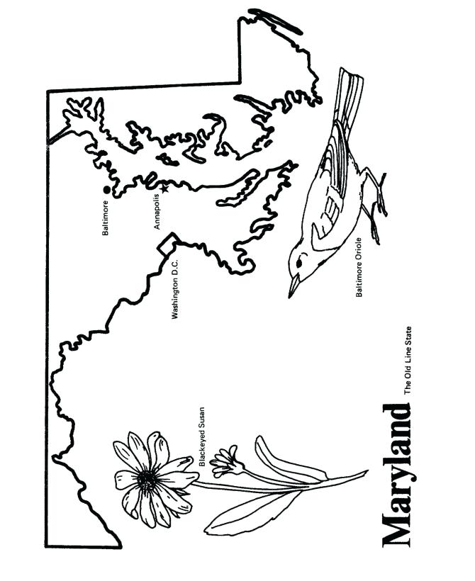 670x820 Baltimore Orioles Coloring Pages On State Outline Coloring