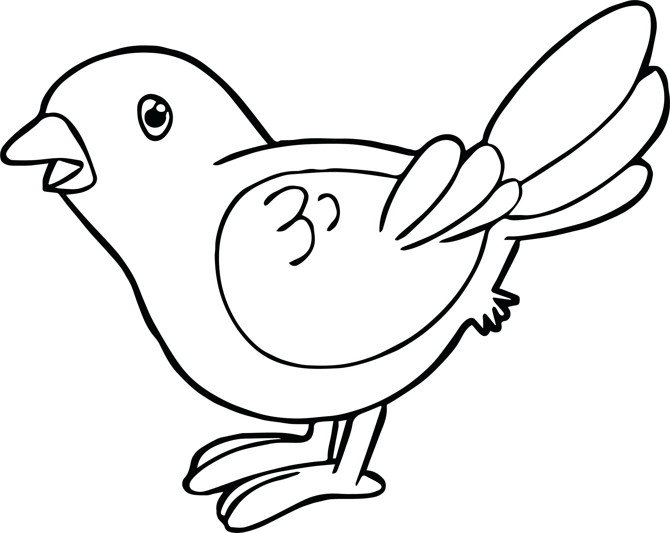 2312x1839 Bird Coloring Page To Print Oriole Free Printable Pages Pictures