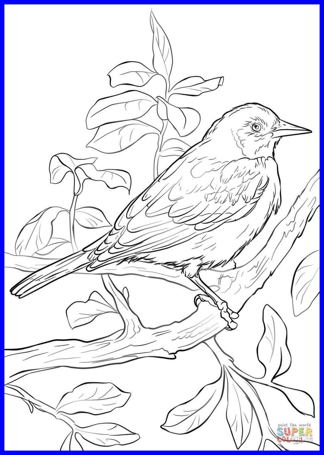 1048x1468 Appealing Baltimore Oriole Coloring Page Printable Pict