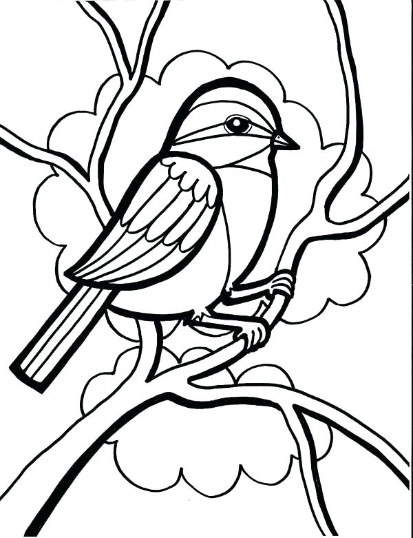 600x781 Chickadee Coloring Page Orioles Coloring Pages Chickadee Drawing