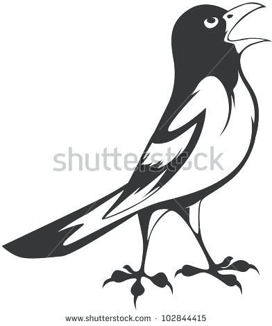 392x470 Creative Oriole Illustration Stock Vector Baltimore Orioles